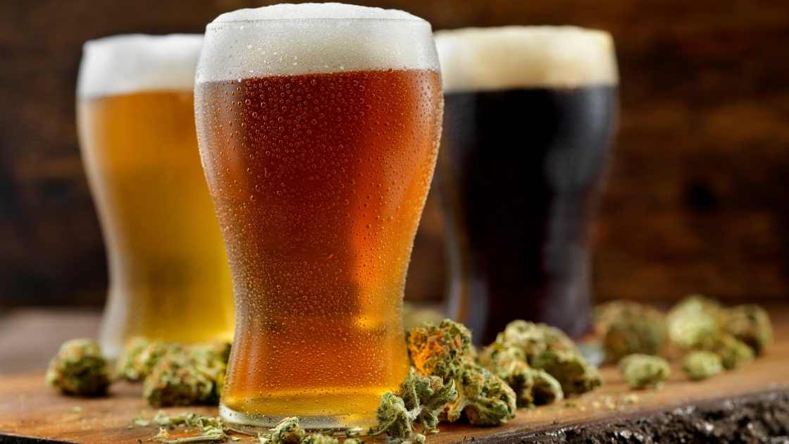 Hemp beer