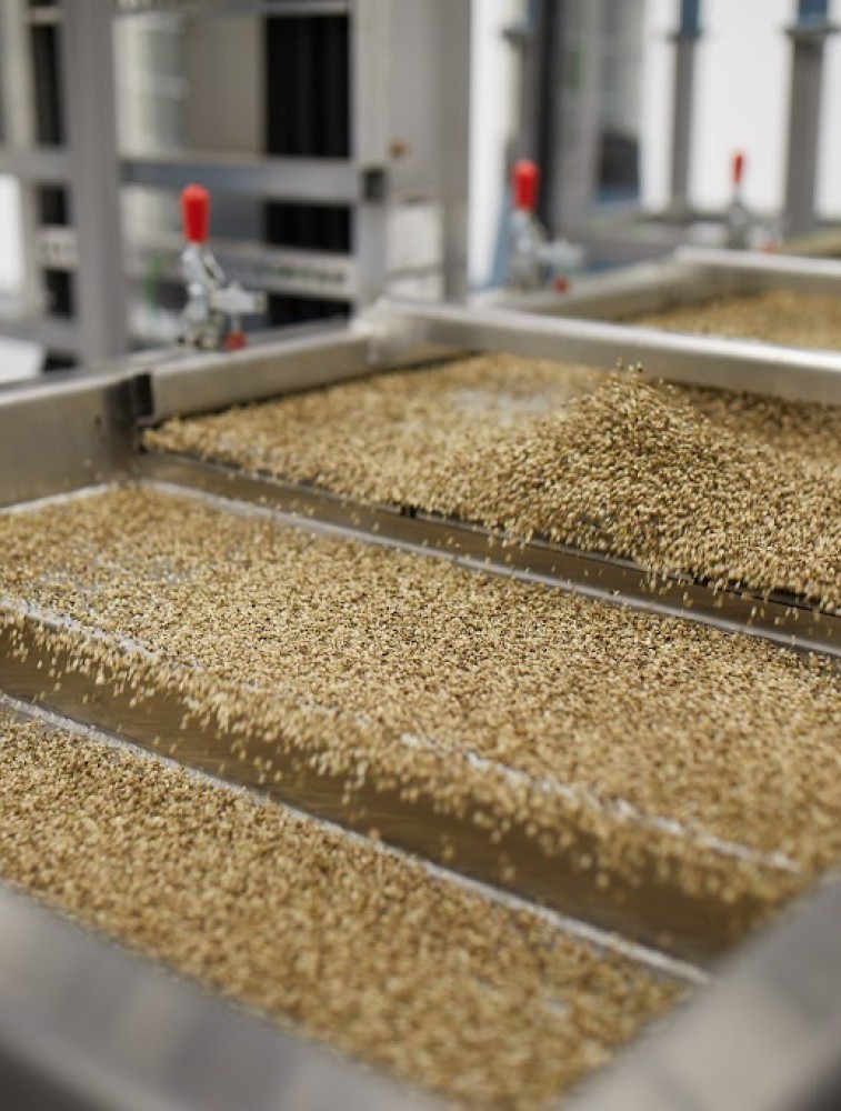 Hemp Extraction Processing
