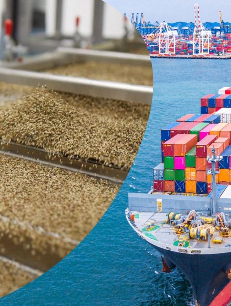 Export Ready Canadian Hemp